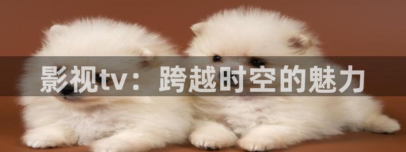 九七电影大全