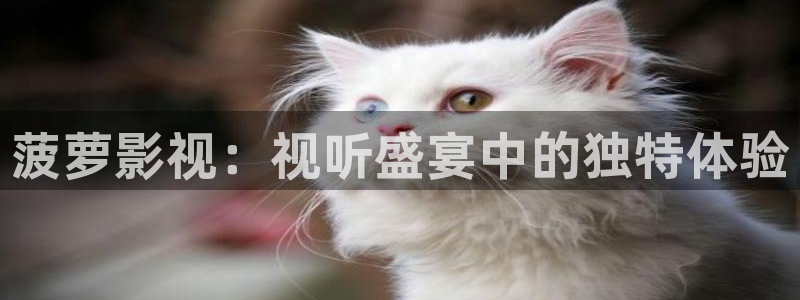 97影院九七理论片
