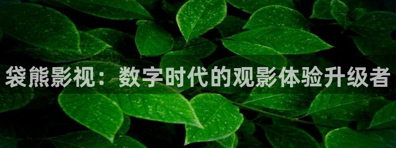 九七手机在线影院：袋熊影视：数字时代的观影体验升级者