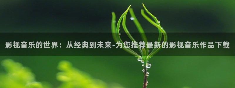 九七九七影院