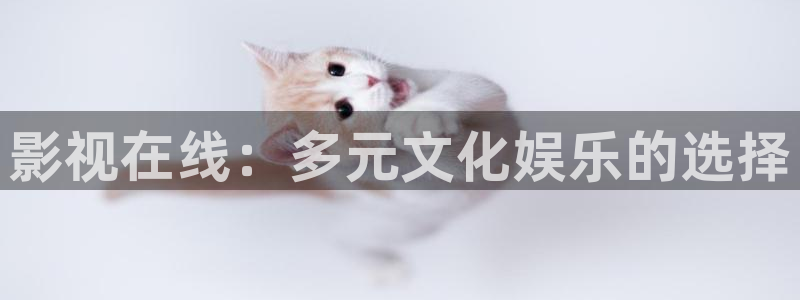 九七电影手机版在线看