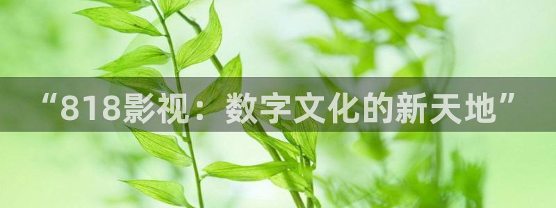 九七电影院的网址：“818影视：数字文化的新天地”