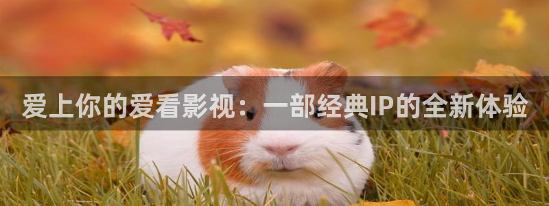 九七电影院支持：爱上你的爱看影视：一部经典IP的全新体验