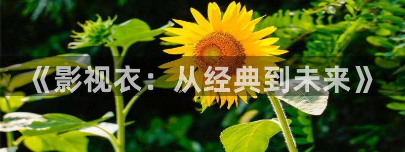 九七私人影院